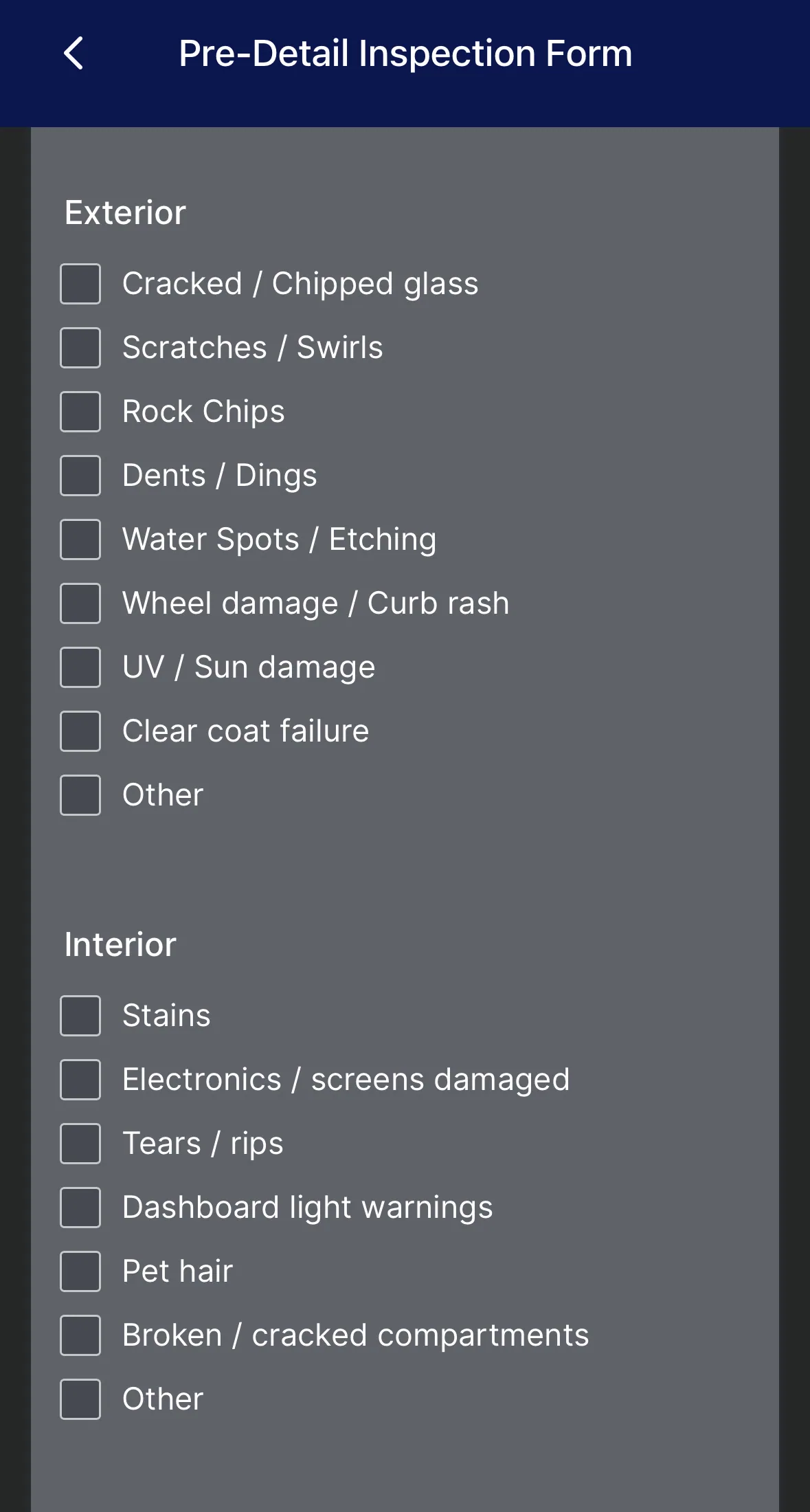 My pre-detail inspection form, with checkboxes for scratches and swirls, rock chips, sun damage and clear coat failure